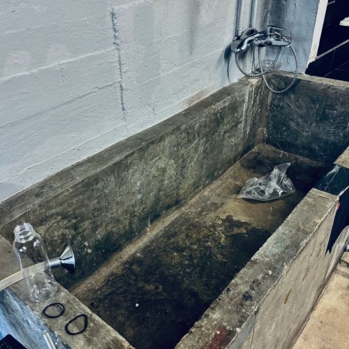 Galeriebild 4 von Mistress Henriette