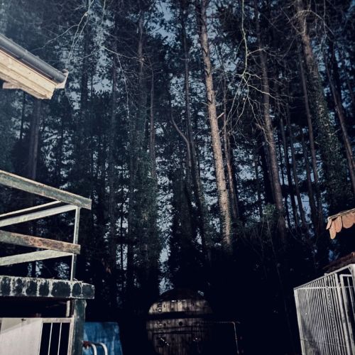 Galeriebild 5 von Mistress Henriette