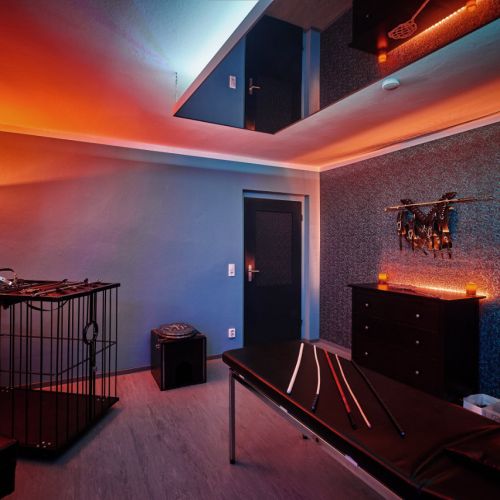 Galeriebild 4 von Das Lustwerk