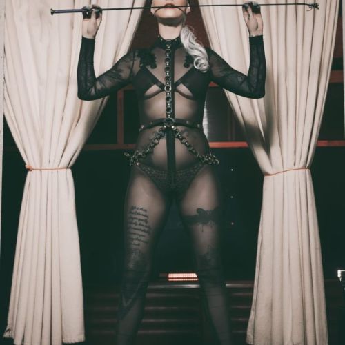 Galeriebild 4 von Natascha Nox